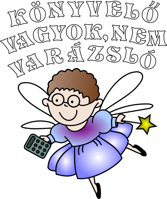 Könyvelős minta